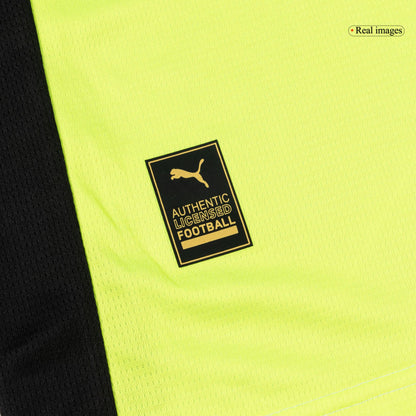 Borussia Dortmund Mens Away Soccer Kit 2025/26 Gray