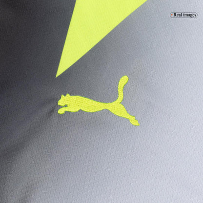 Borussia Dortmund Mens Away Soccer Kit 2025/26 Gray